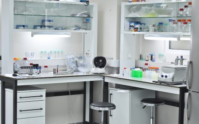 Vertical Laminar Flow Hoods for Controlled Clean Air Workspaces